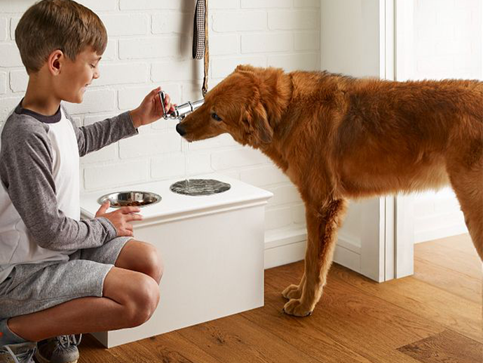 young boy filling up dogs water bowl